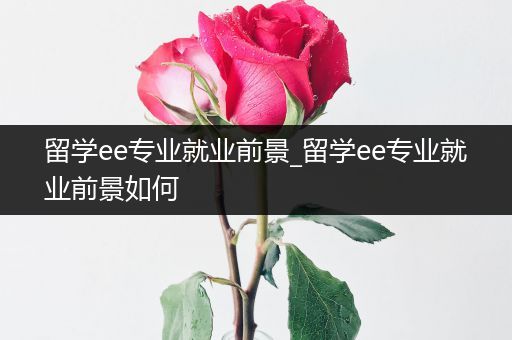 留学ee专业就业前景_留学ee专业就业前景如何