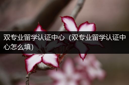 双专业留学认证中心（双专业留学认证中心怎么填）