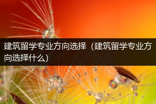 建筑留学专业方向选择（建筑留学专业方向选择什么）