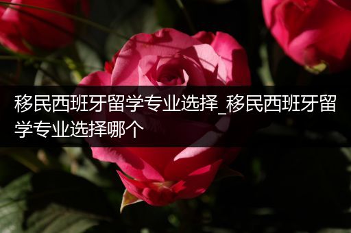 移民西班牙留学专业选择_移民西班牙留学专业选择哪个