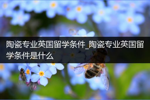 陶瓷专业英国留学条件_陶瓷专业英国留学条件是什么