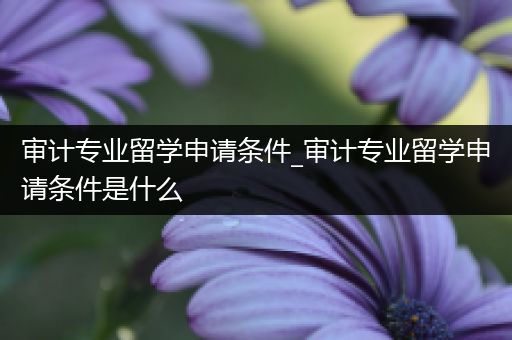 审计专业留学申请条件_审计专业留学申请条件是什么