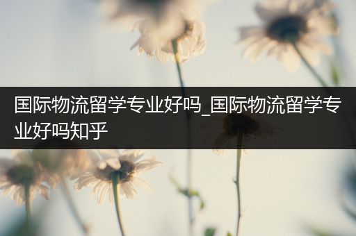 国际物流留学专业好吗_国际物流留学专业好吗知乎