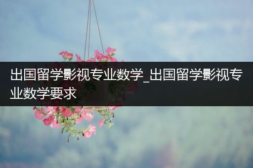 出国留学影视专业数学_出国留学影视专业数学要求