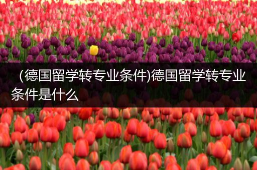 （德国留学转专业条件)德国留学转专业条件是什么