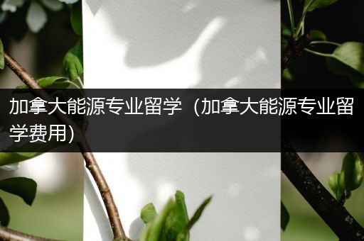 加拿大能源专业留学（加拿大能源专业留学费用）