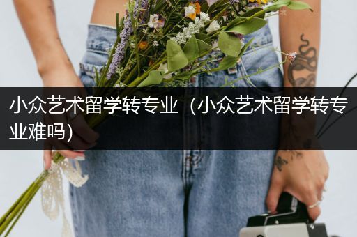 小众艺术留学转专业（小众艺术留学转专业难吗）