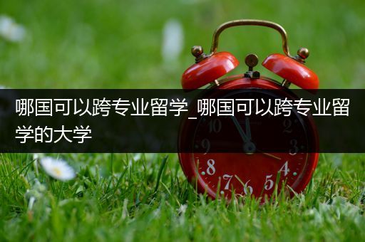 哪国可以跨专业留学_哪国可以跨专业留学的大学