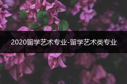 2020留学艺术专业-留学艺术类专业