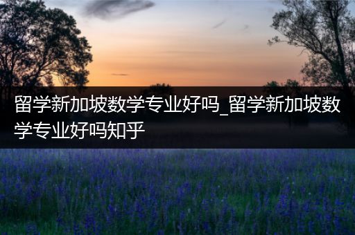 留学新加坡数学专业好吗_留学新加坡数学专业好吗知乎