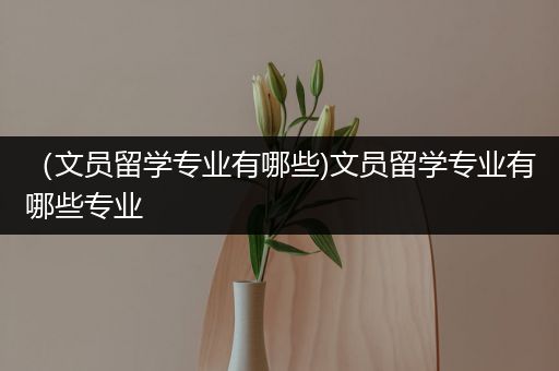 （文员留学专业有哪些)文员留学专业有哪些专业