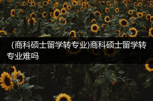 （商科硕士留学转专业)商科硕士留学转专业难吗