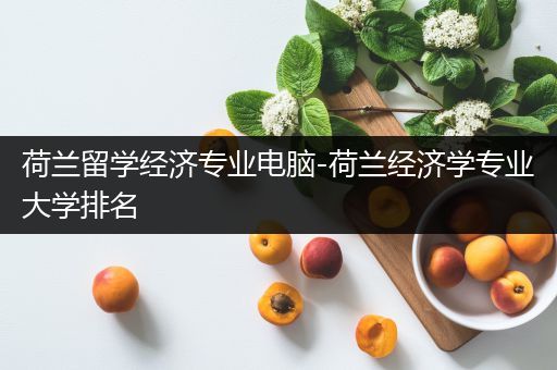 荷兰留学经济专业电脑-荷兰经济学专业大学排名