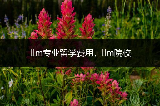 llm专业留学费用，llm院校