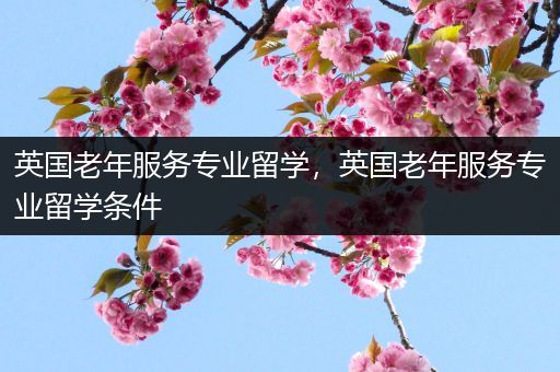 英国老年服务专业留学，英国老年服务专业留学条件