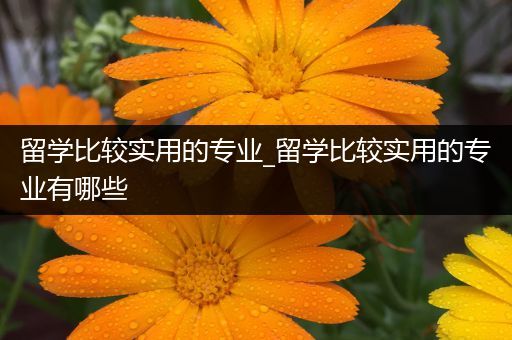 留学比较实用的专业_留学比较实用的专业有哪些