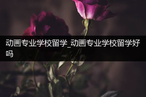 动画专业学校留学_动画专业学校留学好吗