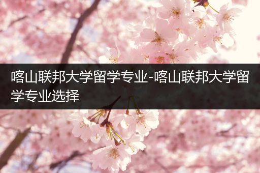 喀山联邦大学留学专业-喀山联邦大学留学专业选择