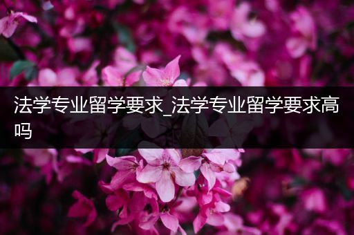 法学专业留学要求_法学专业留学要求高吗