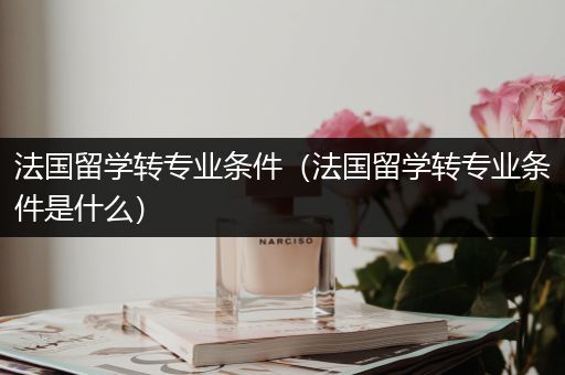 法国留学转专业条件（法国留学转专业条件是什么）