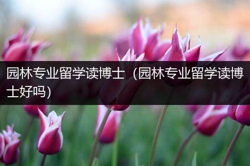 园林专业留学读博士（园林专业留学读博士好吗）