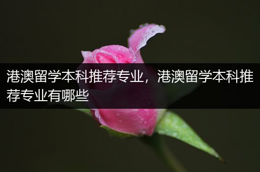 港澳留学本科推荐专业，港澳留学本科推荐专业有哪些