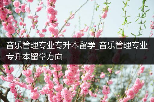 音乐管理专业专升本留学_音乐管理专业专升本留学方向