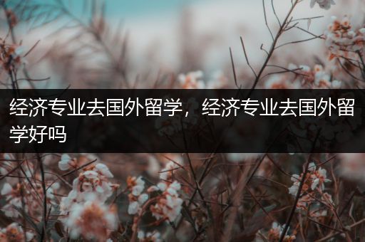 经济专业去国外留学，经济专业去国外留学好吗