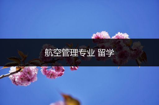 航空管理专业 留学