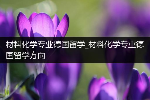 材料化学专业德国留学_材料化学专业德国留学方向