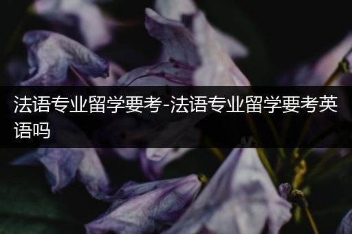 法语专业留学要考-法语专业留学要考英语吗