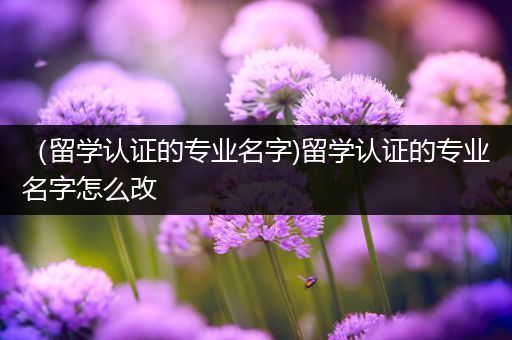 （留学认证的专业名字)留学认证的专业名字怎么改