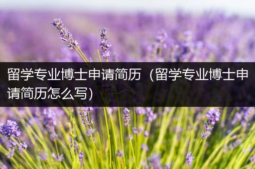 留学专业博士申请简历（留学专业博士申请简历怎么写）