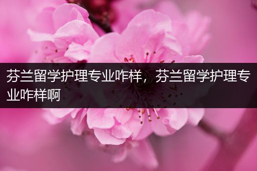 芬兰留学护理专业咋样，芬兰留学护理专业咋样啊