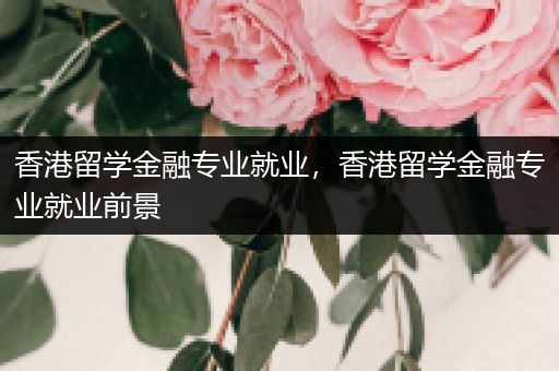 香港留学金融专业就业，香港留学金融专业就业前景