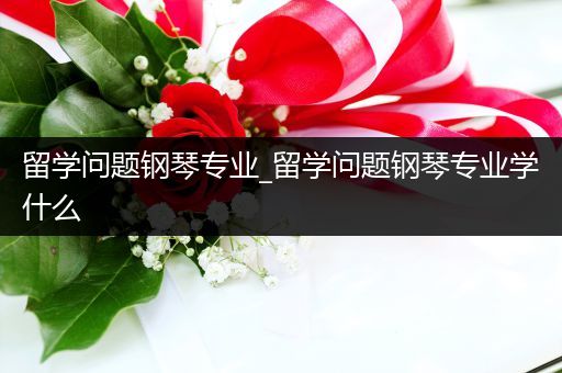 留学问题钢琴专业_留学问题钢琴专业学什么
