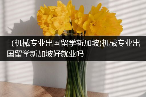 （机械专业出国留学新加坡)机械专业出国留学新加坡好就业吗