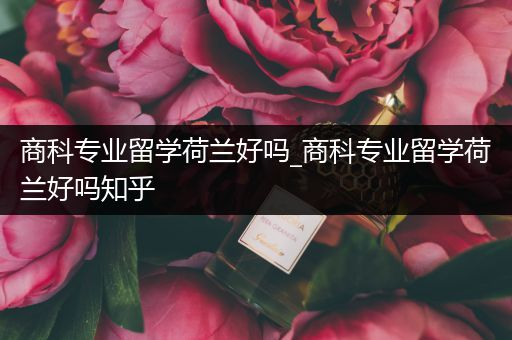 商科专业留学荷兰好吗_商科专业留学荷兰好吗知乎