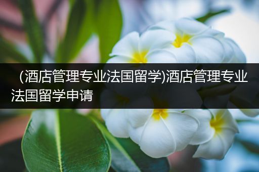 （酒店管理专业法国留学)酒店管理专业法国留学申请