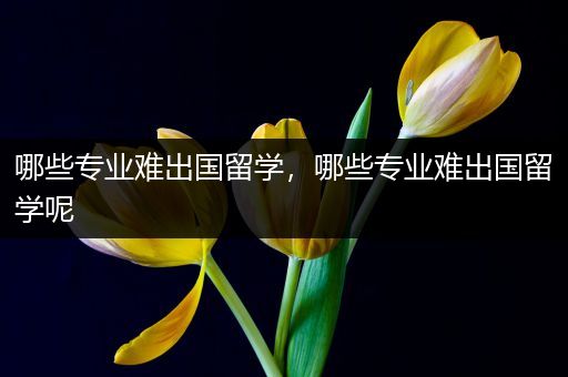 哪些专业难出国留学，哪些专业难出国留学呢