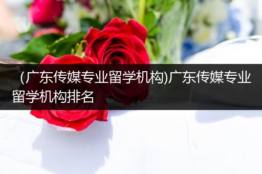 （广东传媒专业留学机构)广东传媒专业留学机构排名