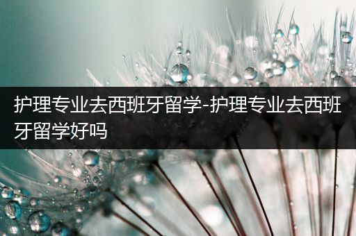 护理专业去西班牙留学-护理专业去西班牙留学好吗