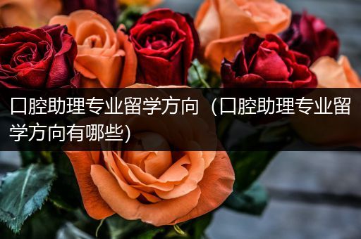 口腔助理专业留学方向（口腔助理专业留学方向有哪些）