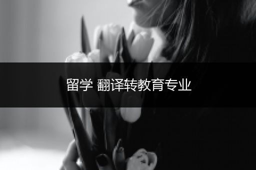 留学 翻译转教育专业