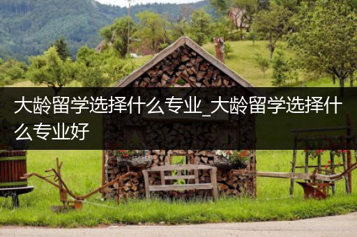大龄留学选择什么专业_大龄留学选择什么专业好