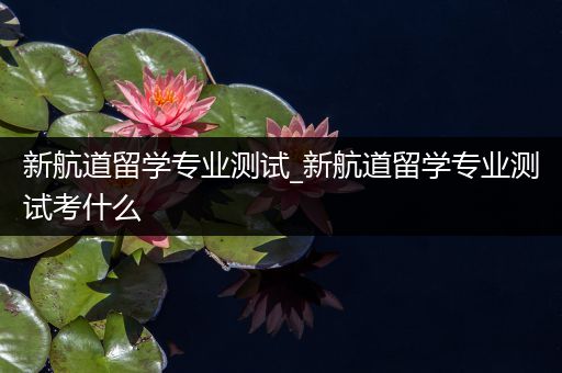 新航道留学专业测试_新航道留学专业测试考什么
