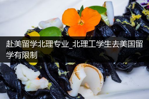 赴美留学北理专业_北理工学生去美国留学有限制