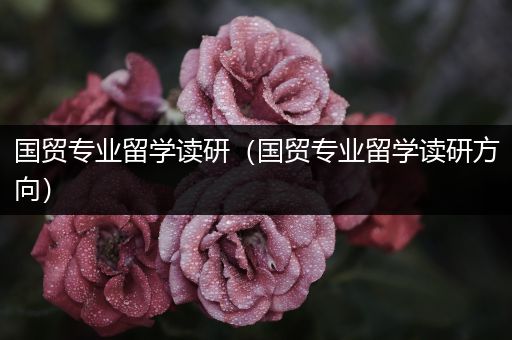 国贸专业留学读研（国贸专业留学读研方向）