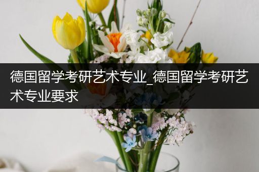 德国留学考研艺术专业_德国留学考研艺术专业要求