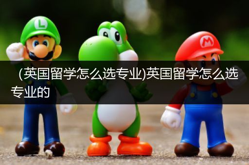 （英国留学怎么选专业)英国留学怎么选专业的